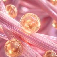 Collagen Extract (10,000ppm) + Peptides